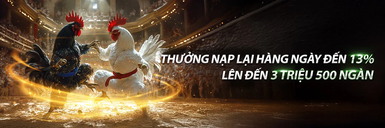Điều Khoản Dịch Vụ you88 web