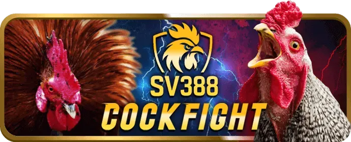 Bí quyết chơi casino you88 web